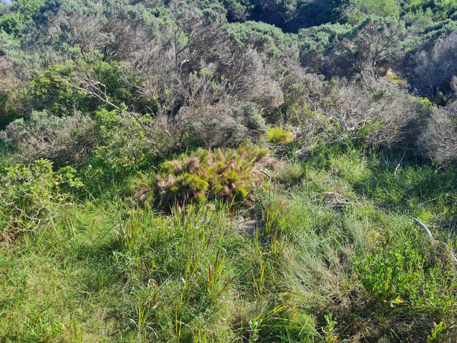 0 Bedroom Property for Sale in Paradise Beach Eastern Cape